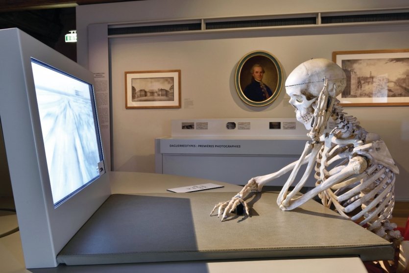 les créatures, les animaux ont une histoire , Noël au château - © Bernard Renoux ©