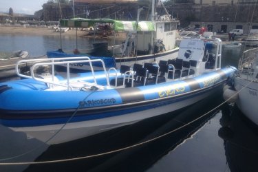 Le Sarkoskud de 700cv