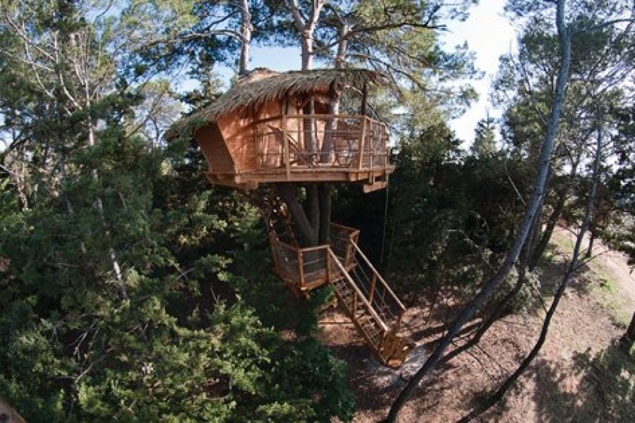 Cabanes dans les arbres au nord de Montpellier