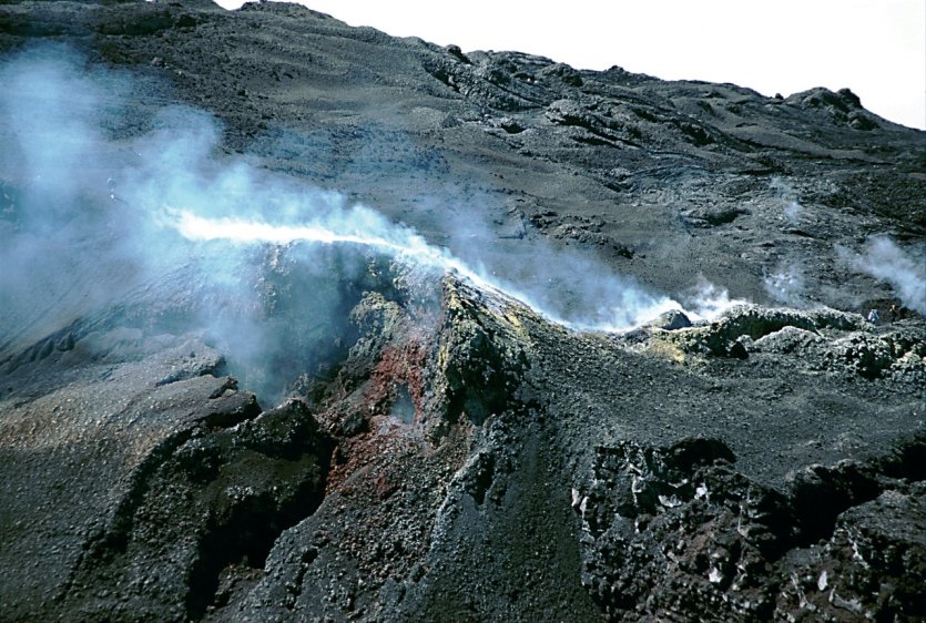 - © Author's Image