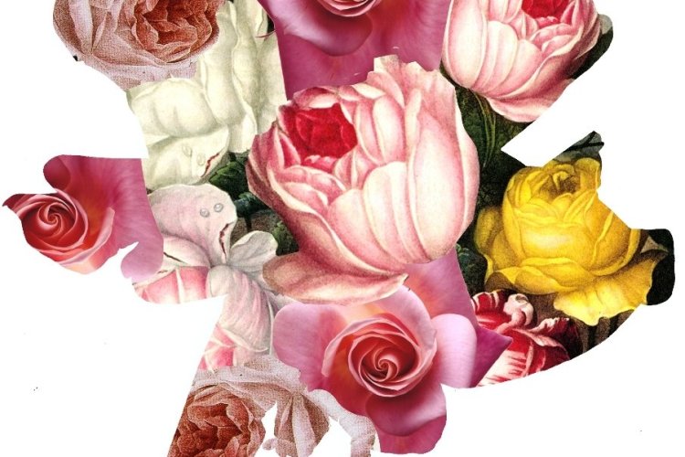 - © Un livre une rose 2014