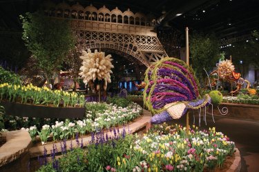 Philadelphie accueille le Flower Show
