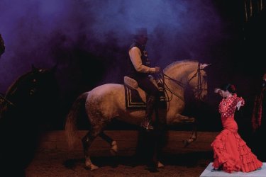 Le flamenco équestre du théâtre Camarkas.