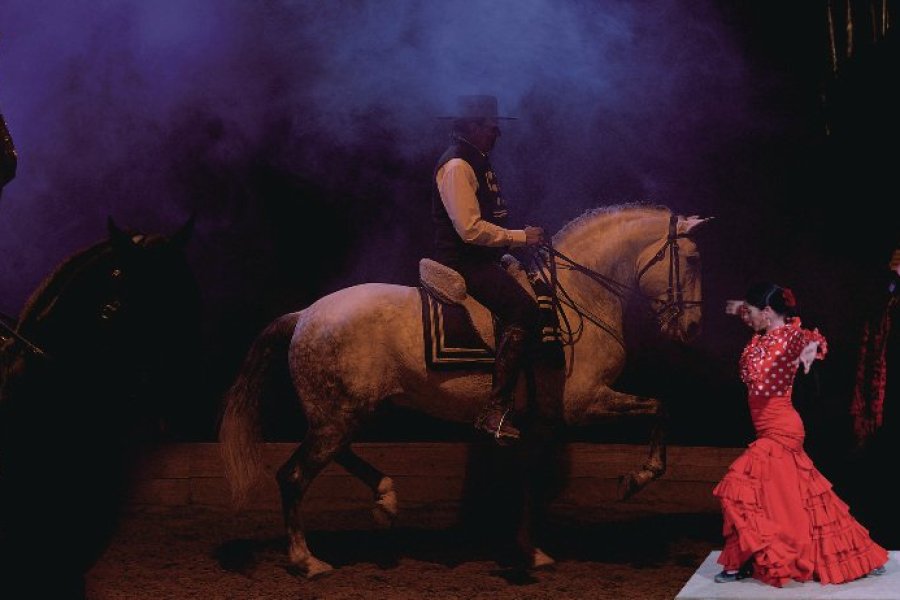 Le flamenco équestre du théâtre Camarkas.