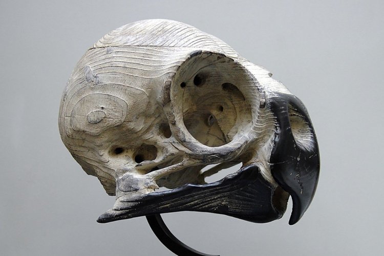 Crâne d'oiseau, sculpture de Quentin Garel. - © DR