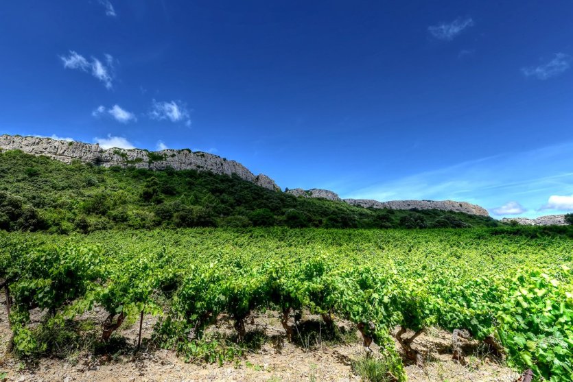 La Clape - © Claude Cruells