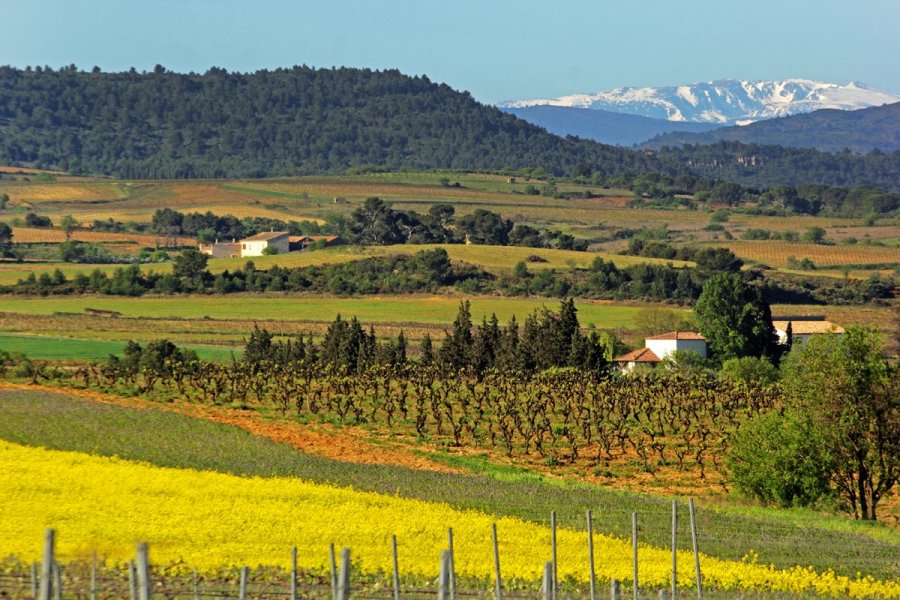 Avec le retour du printemps, prenez la clé des vignes ou des champs !