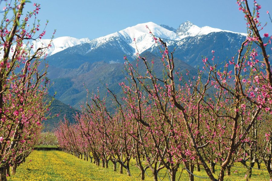 Le massif du Canigó, randonnées entre terre et ciel