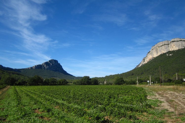 - © Carine Ageneau- Montpellier Wine Tours