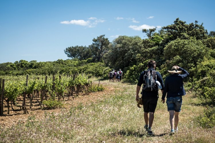 La Clape vigneronne - © D.R