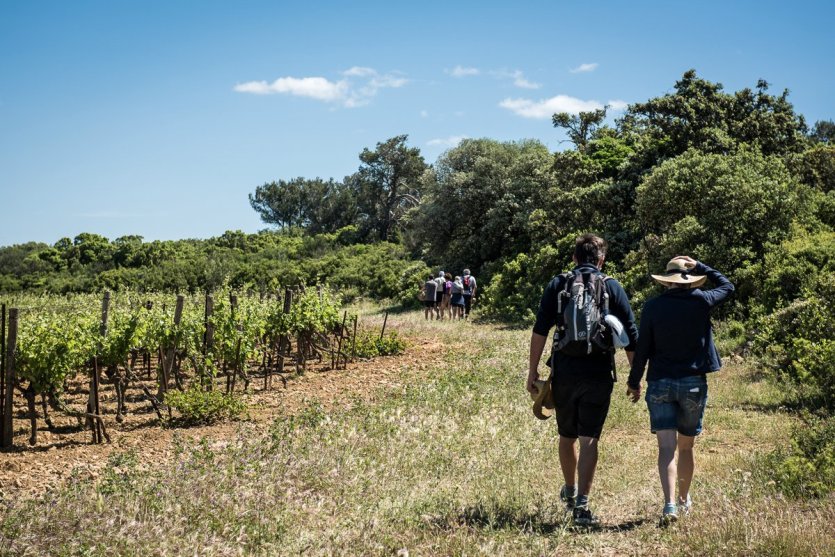 La Clape vigneronne - © D.R