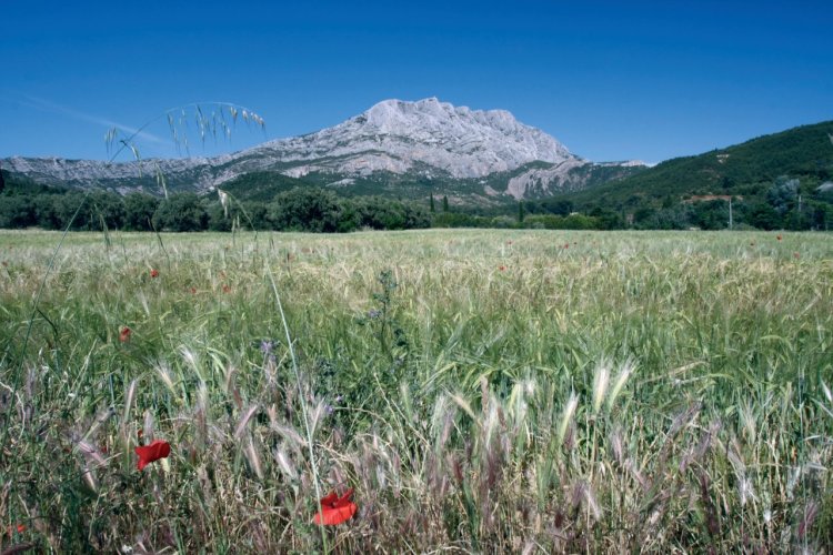 La montagne Sainte-Victoire. - © CREADESIGNER - FOTOLIA