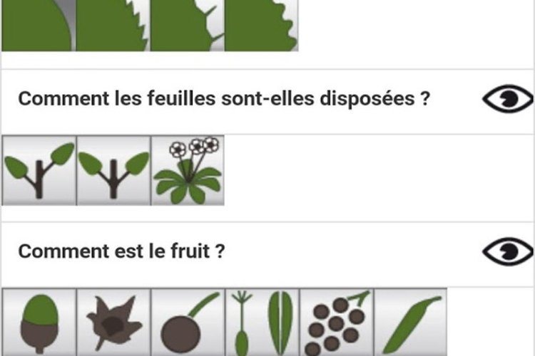 Screenshot des clefs de détermination de l'application. - © D.R