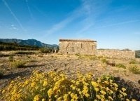Les herbes du maquis - © Office de tourisme de Calvi