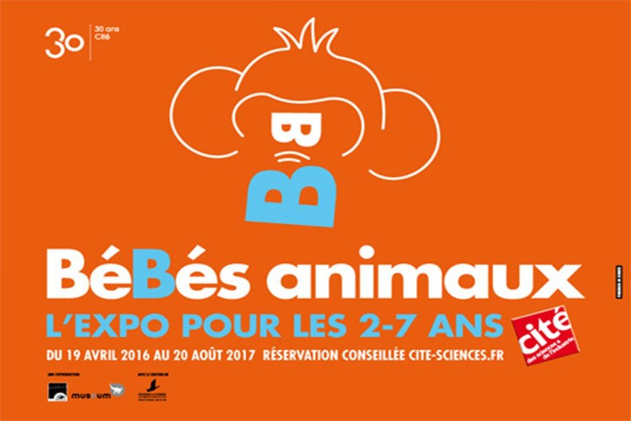 L'histoire des Bébés animaux