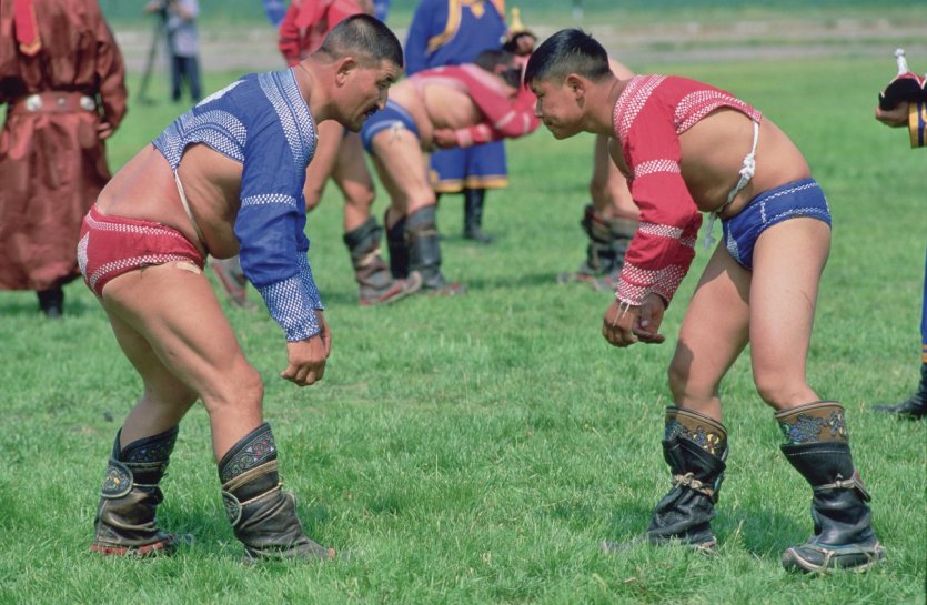 Fête du Naadam, tournoi de lutte. - © Eric Martin - Iconotec