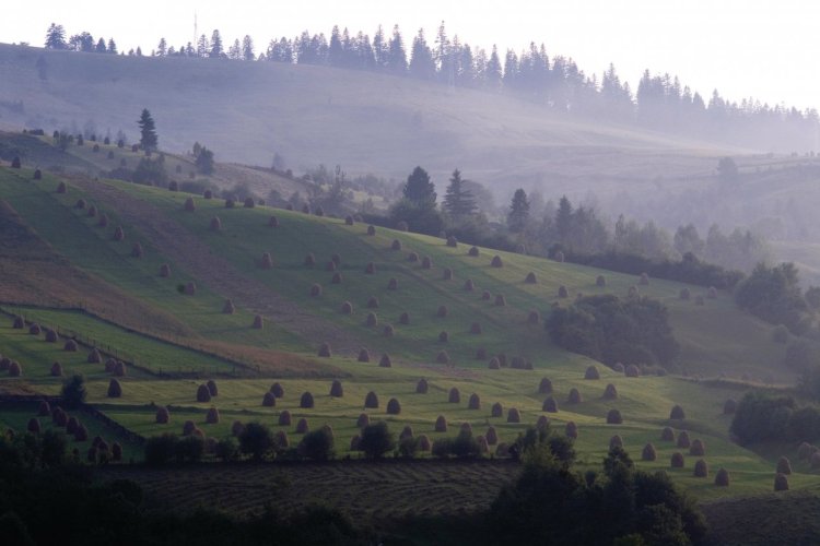 Paysage de campagne de la région de Bucovine. - © Alamer - Iconotec