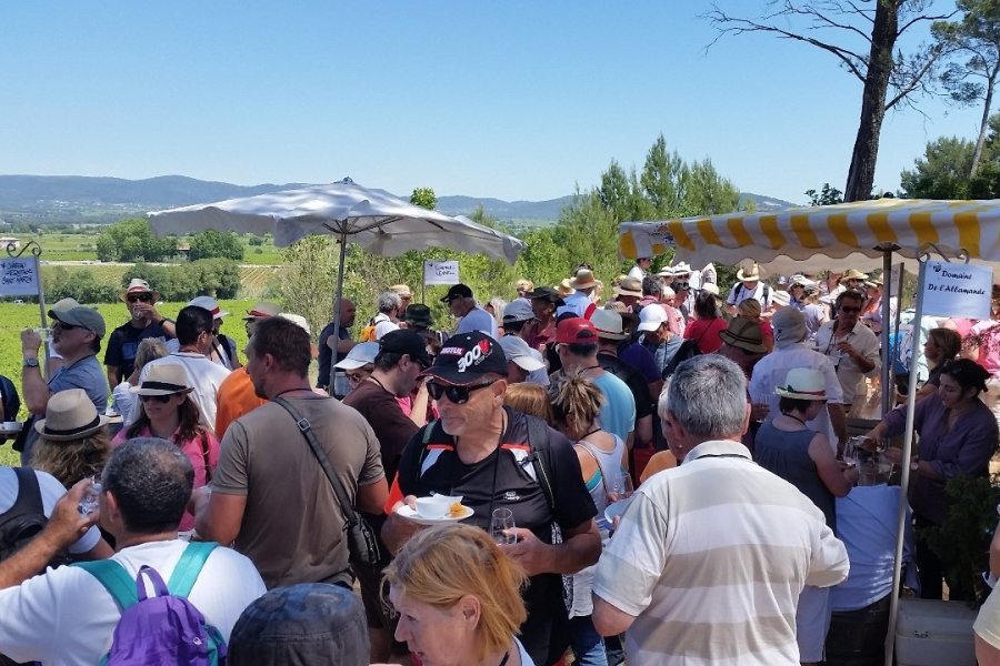 Les Balades Gourmandes entre vignes et garrigues, on en redemande !