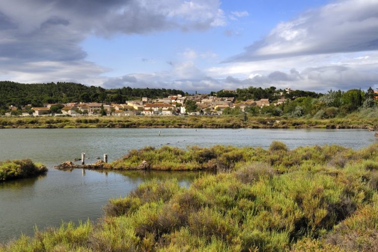 Peyriac-de-Mer - © E. Belondrade
