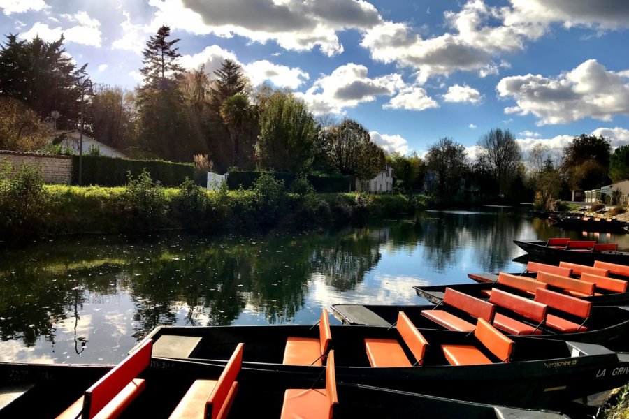 Le Marais poitevin, ce mystérieux territoire