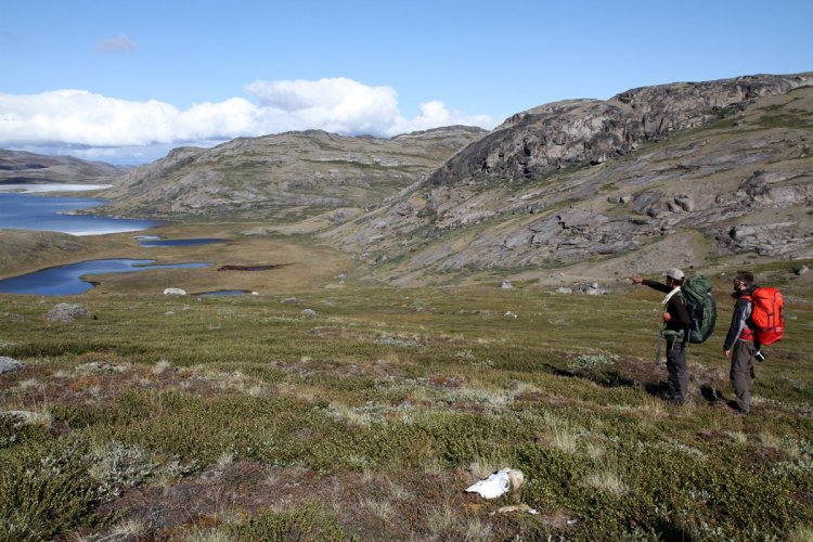 Trek dans le sud du Groenland - © Stéphan SZEREMETA