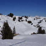 Marvilles
