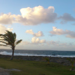 tinemar84