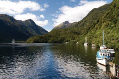 Embarcadère du fiord de Doubtful Sound.