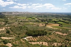 La chaîne des Alpilles et ses champs d'oliviers près des Baux-de-Provence. (© Stéphan SZEREMETA)