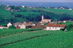 Vue du village de Juliénas, entouré de son vignoble (© Arthur LEROY - Iconotec)