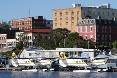 Hydravion de Harbour Air dans le port de Victoria