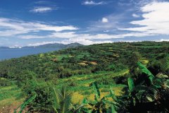 Paysage de la région de Nha Trang.