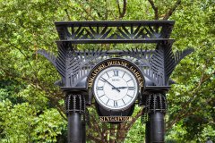 BOTANIC GARDENS (JARDIN BOTANIQUE)