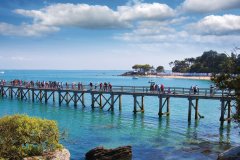 Le ponton du bois de la Chaize sur l'île de Noirmoutier (© Carré Pixel - Fotolia)