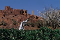 Kasbah Tifoultoute.