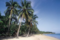 Plage de Las Terrenas.