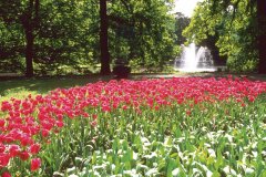 Le parc floral du Keukenhof arbore une jolie fontaine.