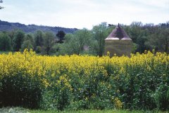 Pigeonnier - Ebreuil (© PHOVOIR)
