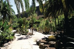 Palmitos Park.