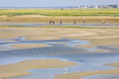 Promenade à marée basse entre Saint-Valéry-sur-Somme et Le Crotoy. (© aterrom  - stock.adobe.com)