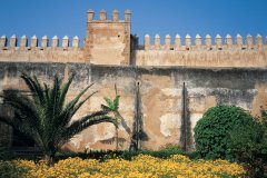 Jardin de la kasbah des Oudayas.