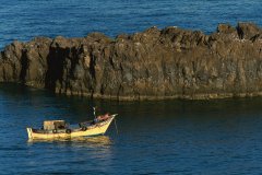 Bâteau de pêche au large de Câmara de Lobos.