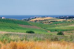 Campagne autour de Castellammare del golfo.