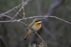 Parc National du Diawling