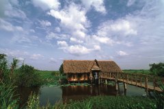 Maison sur pilotis à Tây Ninh.