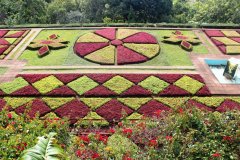 Jardins chorégraphiés du Jardin Tropical de Monte.