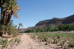 Oasis de Fint.