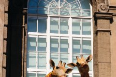 LUOMUS - MUSÉE FINLANDAIS D'HISTOIRE NATURELLE