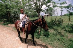 Cavalier dans le parc national Los Haïtises. (© Author's Image)