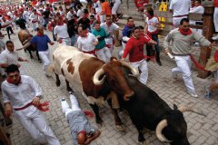 Encierro lors des Sanfermines de Pampelune.